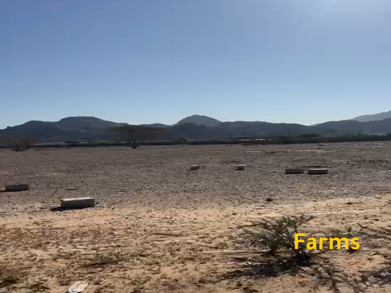 مزرعة للايجار فى راس الخيمة مساحة 168 الف قدم